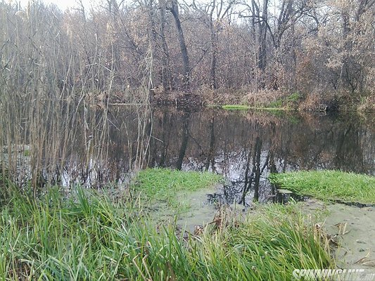 Изображение 1 : Река Оскол г.Валуйки 