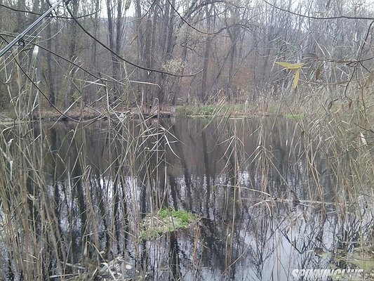 Изображение 1 : Река Оскол г.Валуйки 