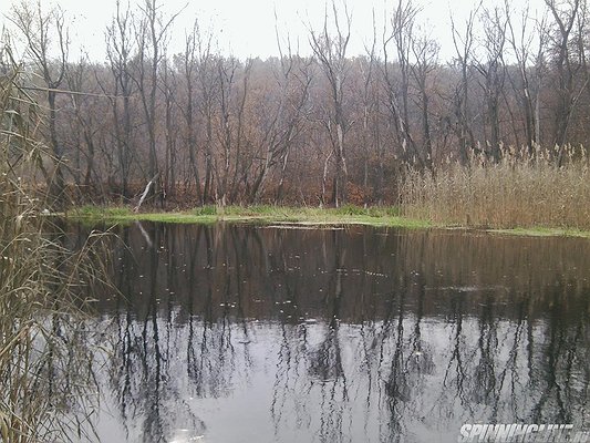 Изображение 1 : Река Оскол г.Валуйки 